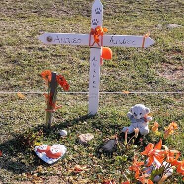 ANTREE Andreo 2004-2019