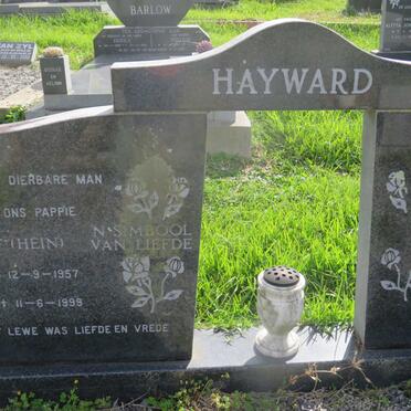 HAYWARD Hein 1957-1999