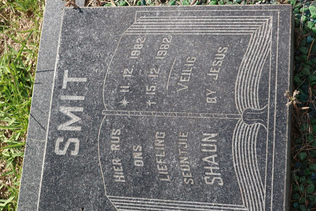 SMIT Shaun 1982-1982