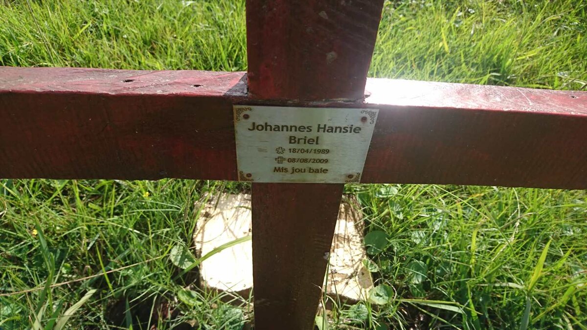 BRIEL Johannes Hansie 1989-2009