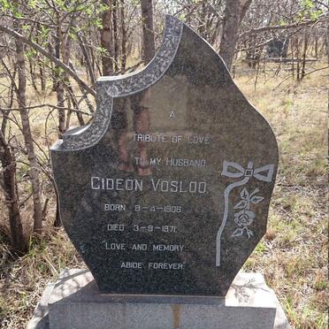 VOSLOO Gideon 1906-1971