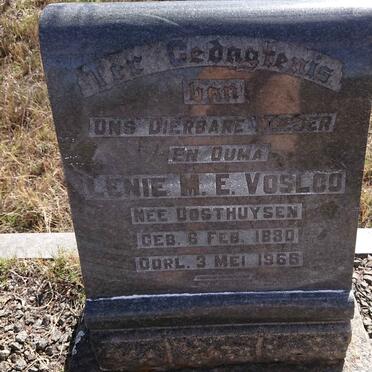 VOSLOO Lenie M.E. nee OOSTHUYSEN 1880-1966