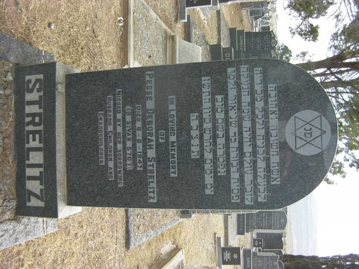 STRELITZ Pesse Deborah -1947