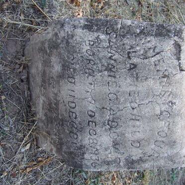 ADONIS Sannie 1936-1937