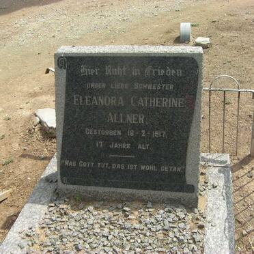 ALLNER Eleanora Catherine -1917