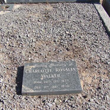 BROEMBSEN Denis Walter, von 1897-1961 :: WALKER Charlotte Rosalia 1877-1975