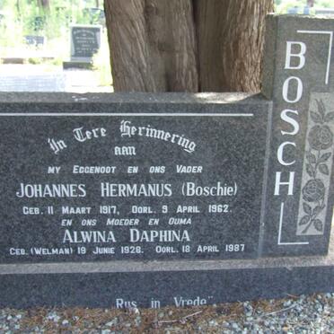 BOSCH Johannes Hermanus 1917-1962 &amp; Alwina Daphina WELMAN 1928-1987
