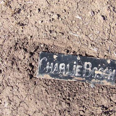 BOSCH Charlie