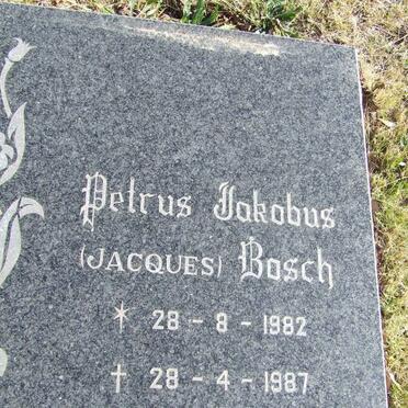 BOSCH Petrus Jakobus 1982-1987