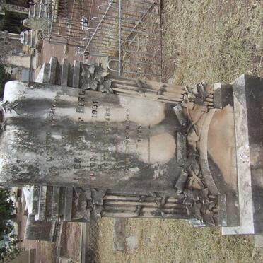 BERG Jack, van der -1931.