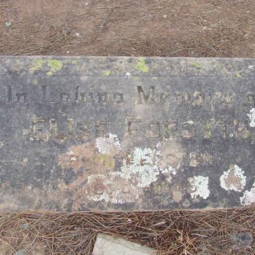 FORSYTH Elise nee KERSTEN 1870-1948