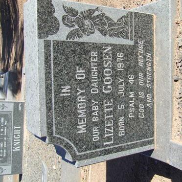 GOOSEN Lizette 1976-