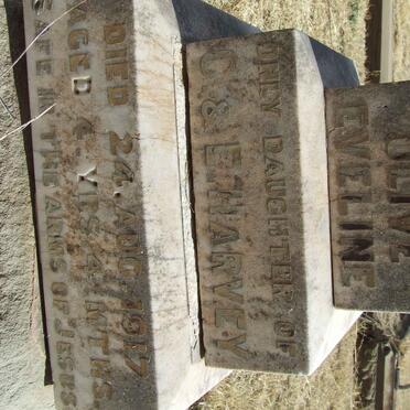 HARVEY Olive Eveline -1917