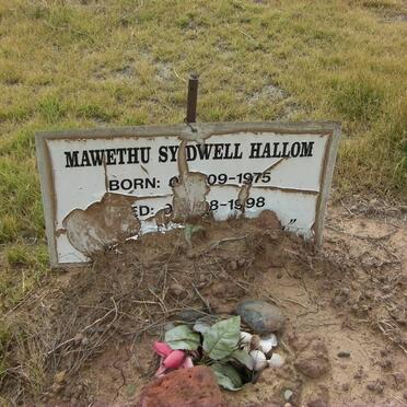 HALLOM Mawethu Sydwell 1975-1998