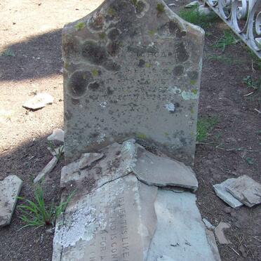 LOWE Rose Anna Margaret 1876-1878