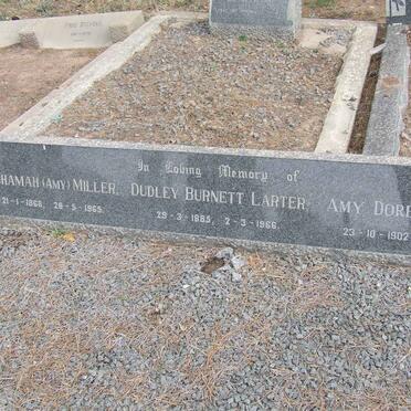 LARTER :: MILLER :: PULLEY