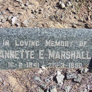 MARSHALL Annette E. 1941-1950