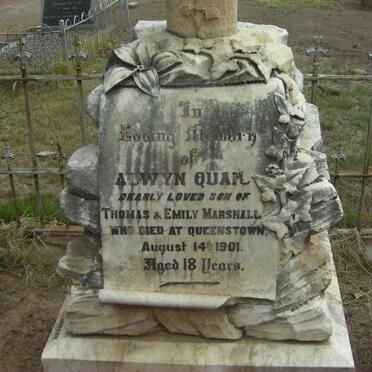 MARSHALL Alwyn Quail -1901