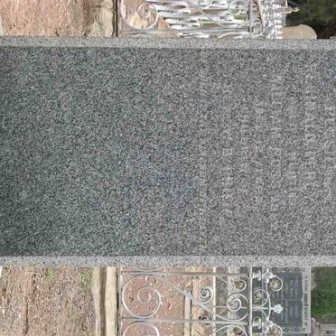 MUIR Bessie -??:: MUIR Reginald Percy -18?8 :: MUIR William Ross-1882