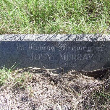 MURRAY Willie 1901-1966 &amp; Joey 1907-1998 :: MURRAY Cyril John