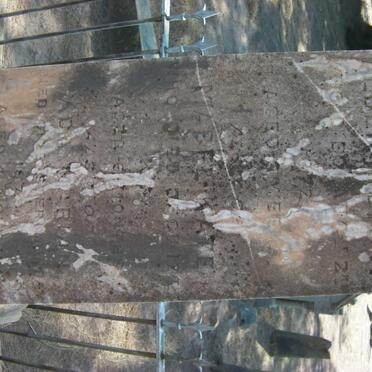 MORUM Albert Sibly :: MORUM Mabel Kate :: MORUM Ada Marian