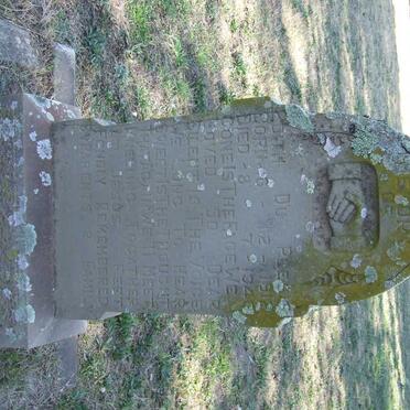 PLESSIS Edith, du 1912-1940.