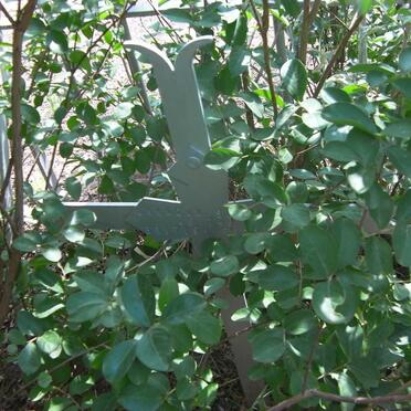 Unknown soldier of the British Forces 17