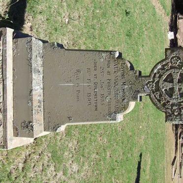 SCHWABE Paul Max 1855-1890