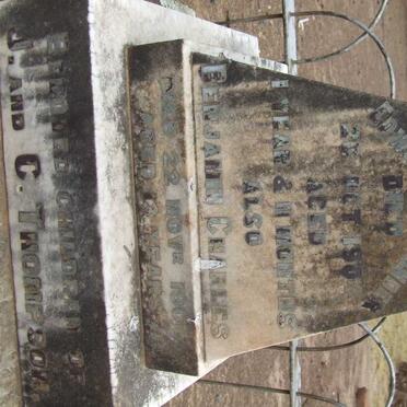 THOMPSON Edward Alexander -1904 :: THOMPSON Benjamin Charles -1904