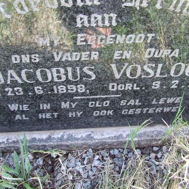 VOSLOO Jacobus 1898-1965