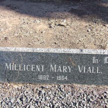 VIALL Millicent Mary 1882-1964 :: VIALL Maud 1889-1971