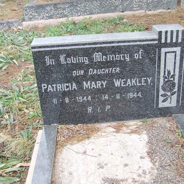 WEAKLEY Patricia Mary 1944-1944