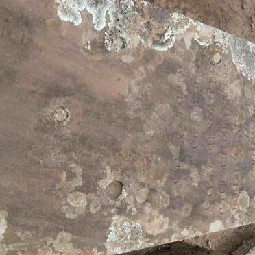 WEBSTER Mary Ann -1850