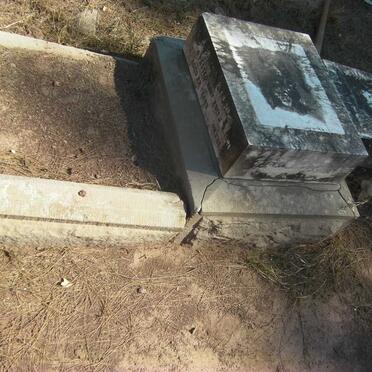 WILLCOCKS E.A., Dean nee SCORGIE 1878-1901 