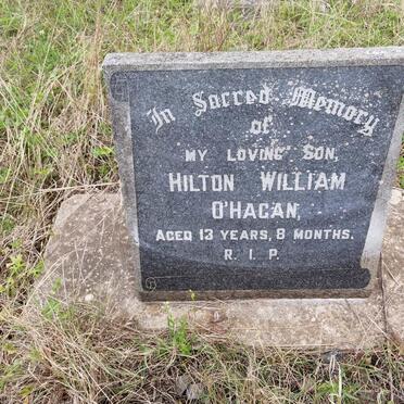 O'HAGAN Hilton William