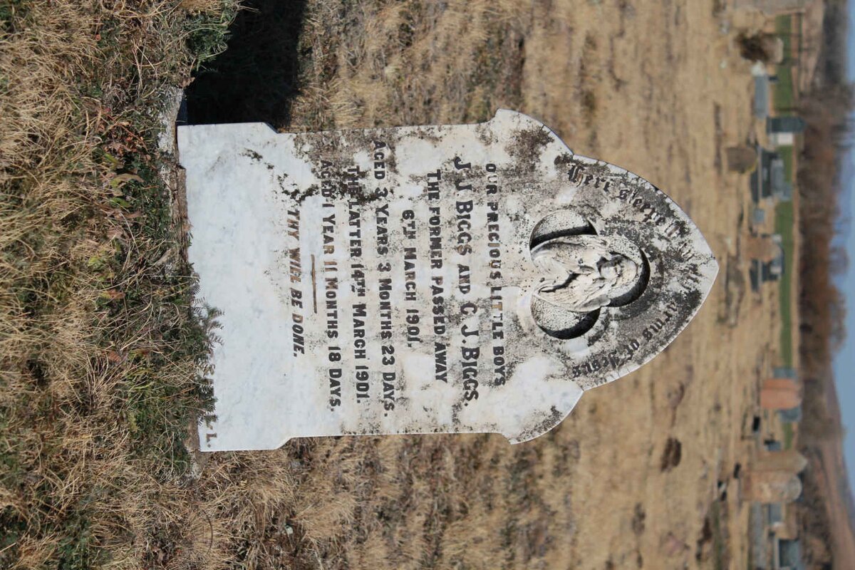 BIGGS J.J. -1901 :: BIGGS C.J. -1901