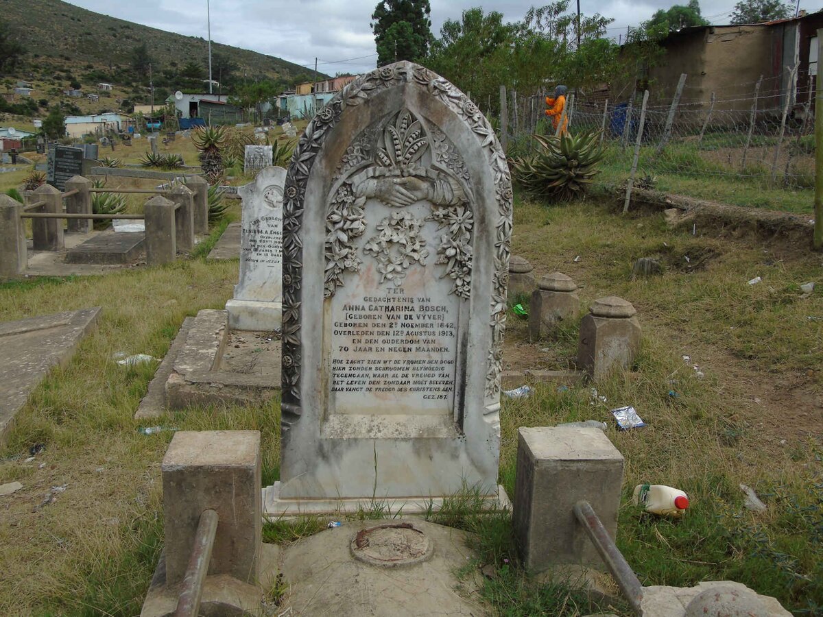BOSCH Anna Catharina nee VAN DE VYVER 1842-1913