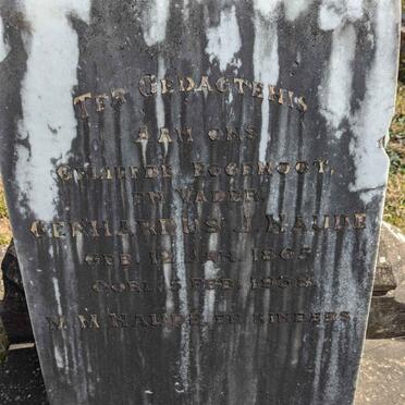 NAUDE Gerhardus J. 1865-1938 