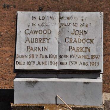 PARKIN Cawood Aubrey 1891-1894 :: PARKIN John Cradock 1897-1913