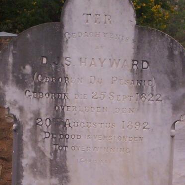 HAYWARD Dina Johanna Susara nee DU PISANIE 1822-1892