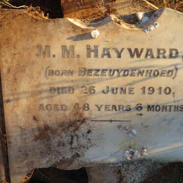 HAYWARD M.M. nee BEZEUYDENHOED -1910