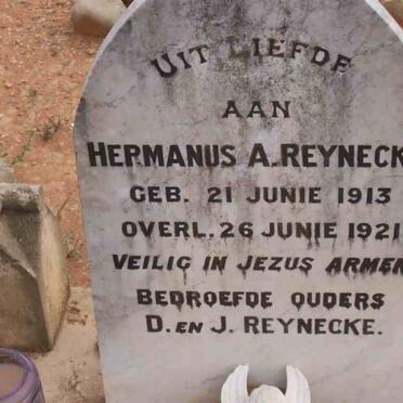 REYNECKE Hermanus A. 1913-1921