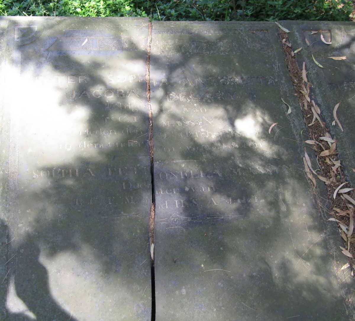 MASSYN Hester Sophia Antonetta Jacoba nee DE LA REY :: MASSYN Sophia Petronella 