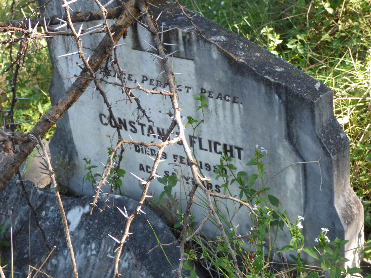 FLIGHT Constance -1950