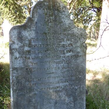 SEIDLER Anne Elizabeth -1877