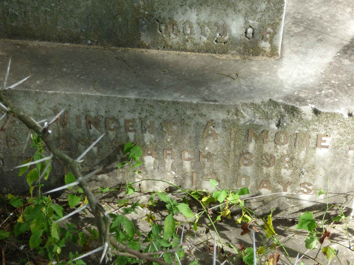 ATMORE Vincent -1899