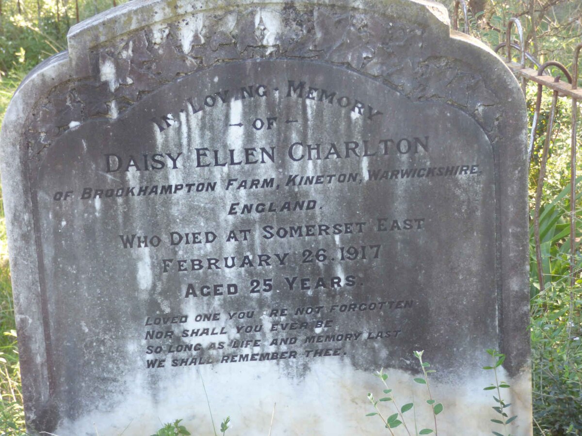 CHARLTON Daisy Ellen -1917