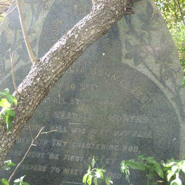 SCHMELZER ??lia -1889