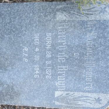 BRUYN Harry, de 1878-1946