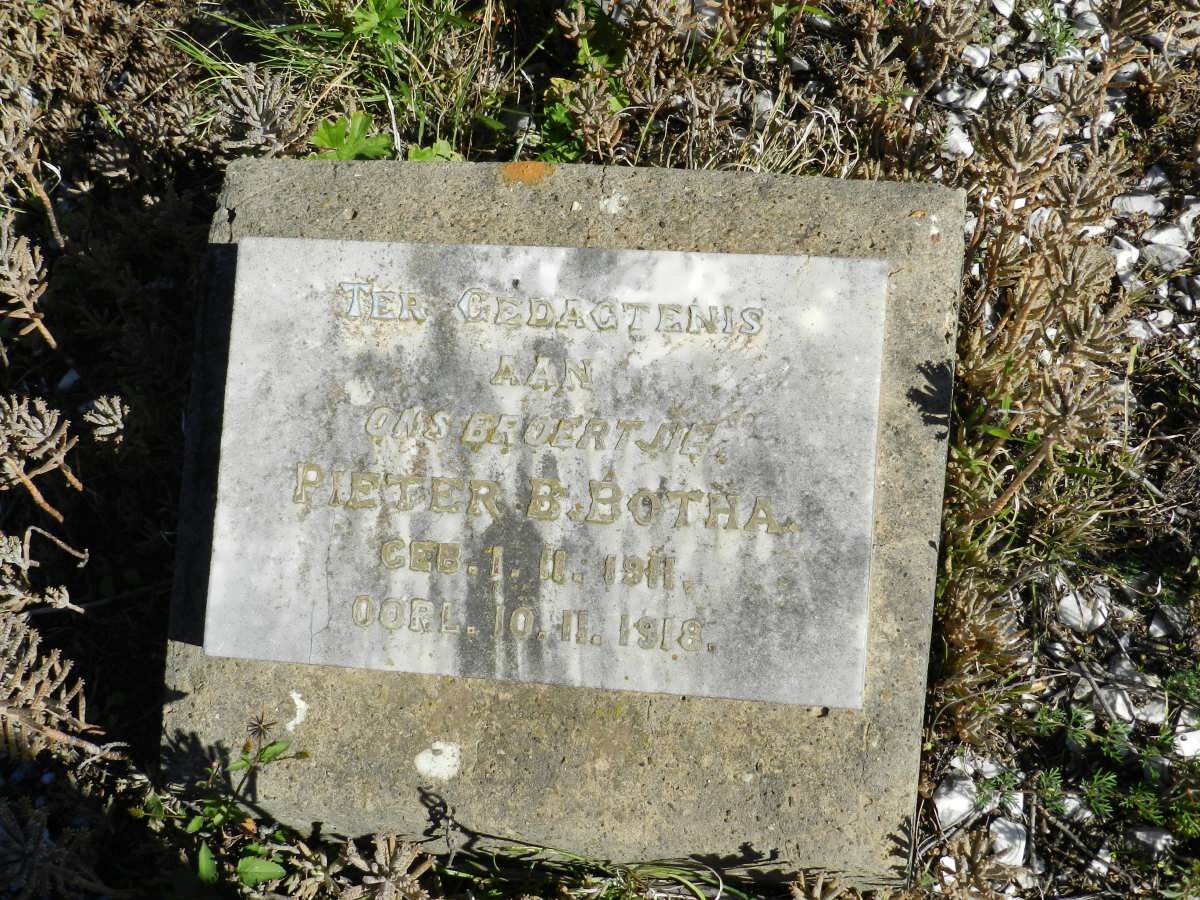BOTHA Pieter B. 1911-1918